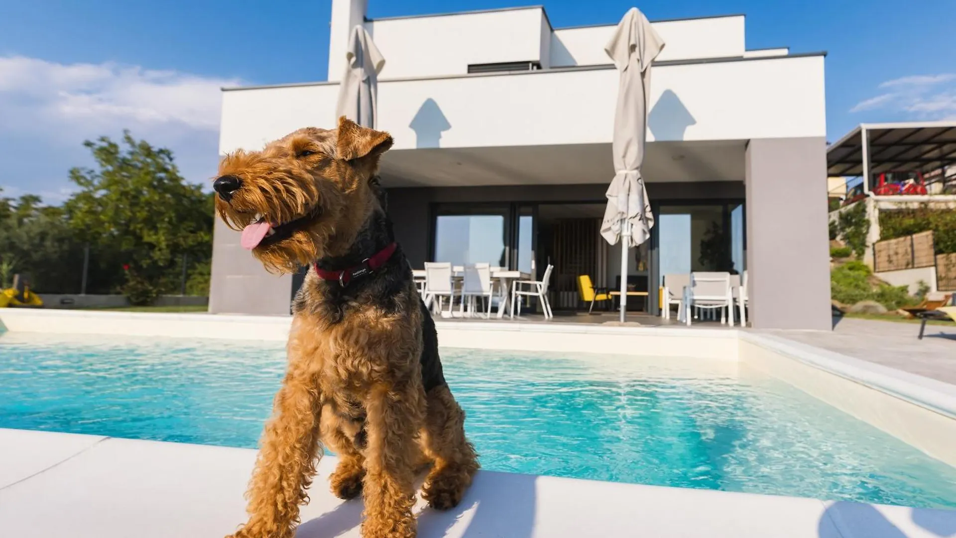 Villa Boiky - Private Pool And Amazing Sea View, Istria Materada